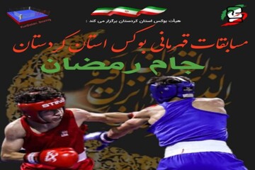 پایان رقابت های بوکس قهرمانی استان کردستان در دیواندره