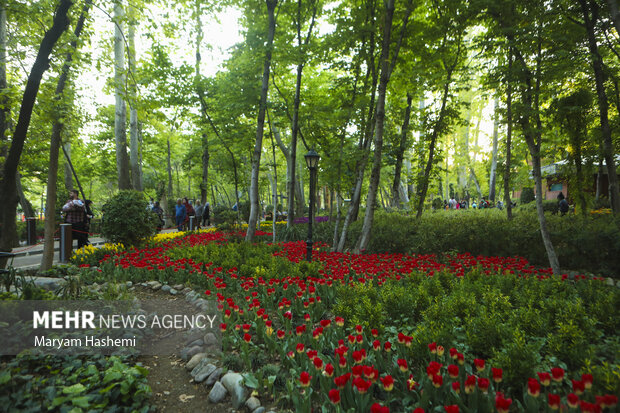 آبیاری فضای سبز تهران از آب خام است