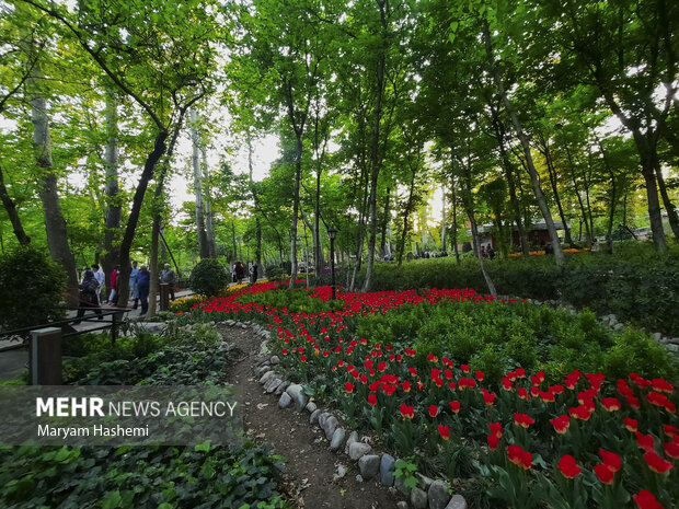 لاله‌های رنگارنگ بهاری جلوه خاص و فضای زیبایی را به بوستان باغ ایرانی بخشیده است. باغ ایرانی با مساحتی حدود ۳ هکتار در محله ده ونک و در منطقه ۳ تهران واقع شده است