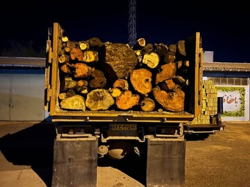 ۴۵ تن چوب جنگلی قاچاق در ساری کشف شد