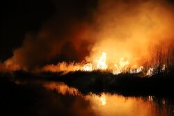 آتش سوزی در مزارع کشاورزی اطراف شهر ایلام