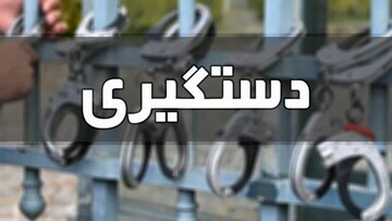 دستگیری عاملان سرقت مسلحانه نیم میلیون دلاری در میرداماد