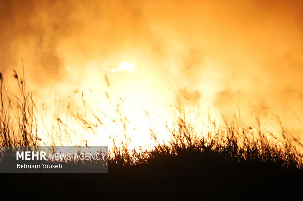 آتش سوزی در تالاب میقان