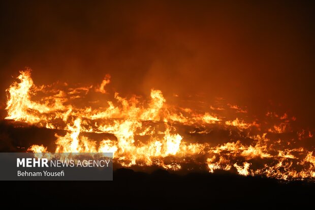 آتش سوزی در تالاب میقان