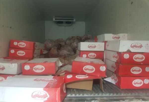 کشف و ضبط ۲۴۵۸ کیلوگرم گوشت فاسد در سنندج