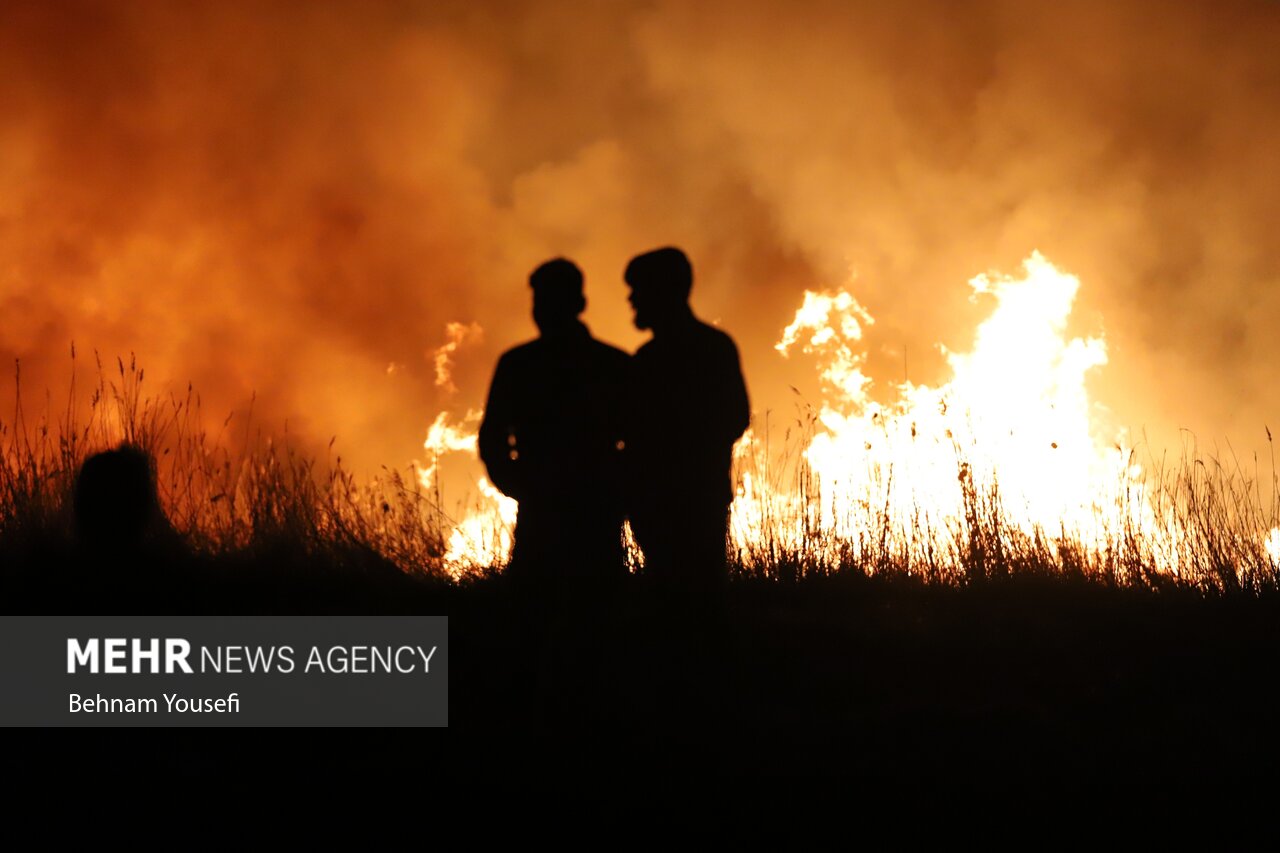 احداث آتش بر، برای مقابله با آتش سوزی احتمالی جنگل ها