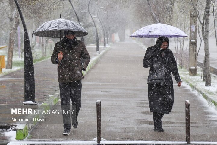 برف بهاری مهمان ناخوانده اردبیل