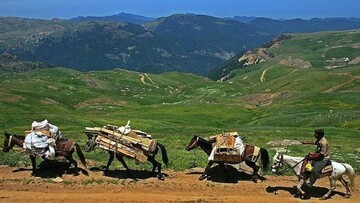 صدای پای عشایر در مراتع اصفهان / از ورود زودهنگام عشایر به جد جلوگیری می‌شود