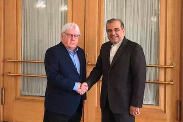 Iranian diplomat, UN official confer on regional issues