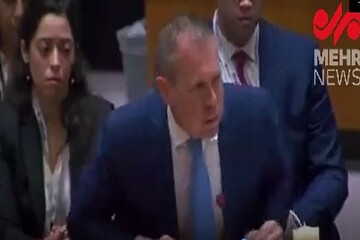 Israeli UN envoy leaves UNSC meeting chaired by Lavrov