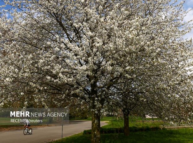 عکس‌های منتخب روز در جهان