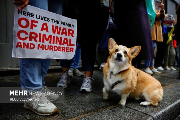 عکس‌های منتخب روز در جهان