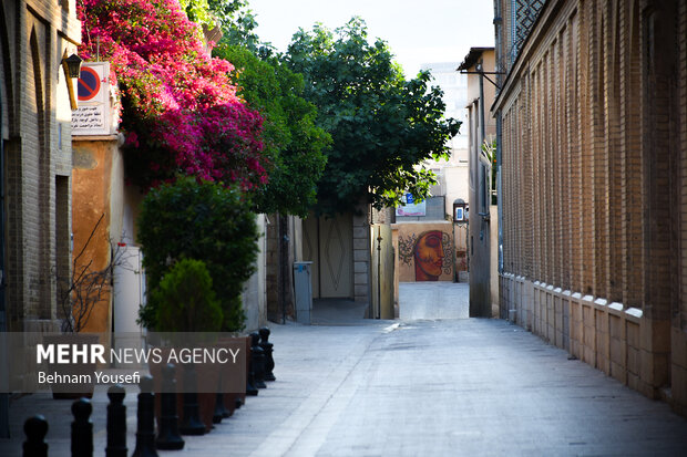 Gallery Alley in Shiraz's Qavam House
