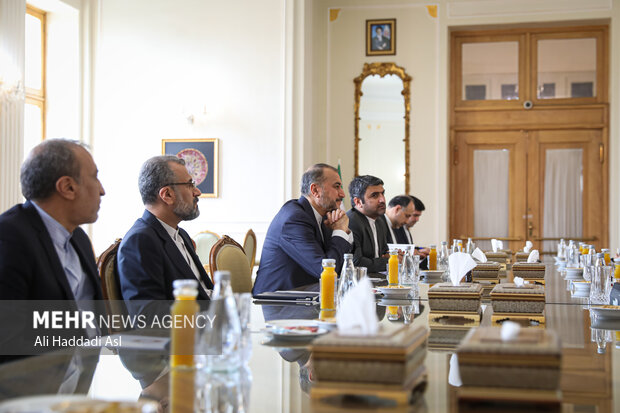 حسین امیر عبدالهیان در دیدار با معاون دبیرکل سازمان ملل در امور بشر دوستانه حضور دارد