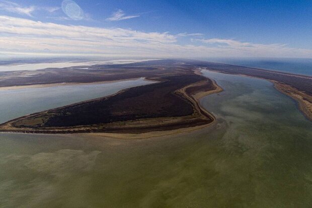 نبض تالاب های ایران می زند/ مازندران کلکسیون طبیعی