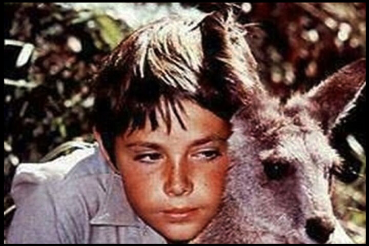 نُچنچهای «اسکیپی» را خاطرتان هست؟/ با هم به دهه ۶۰ سفر میکنیم!