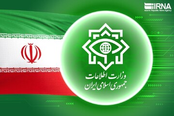 وزارة الامن الإيرانية تنفى وجود اي مواد سامة في مدارس البلاد