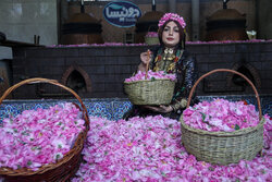 جشنواره گل و گلاب در دریاچه چیتگر برگزار می شود