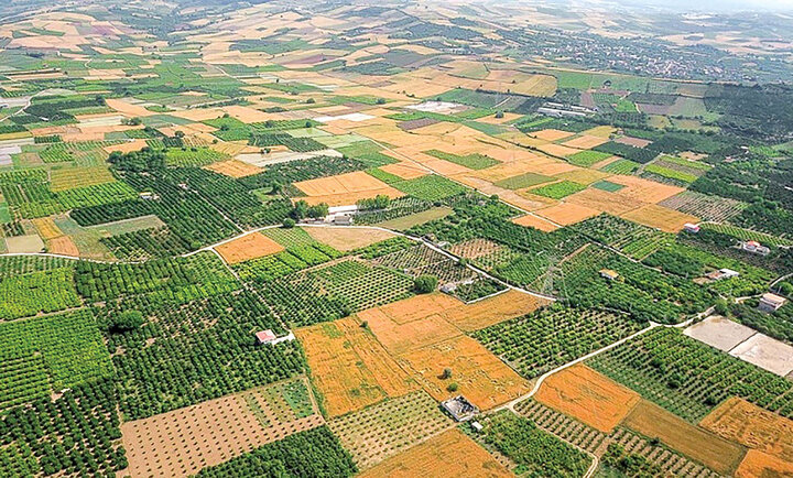 43 درصد از اراضی کشاورزی استان قم سنددار شدند