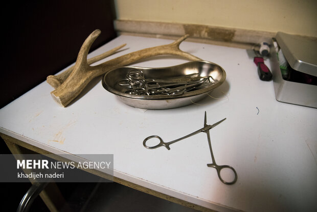 پشت میله های قفس