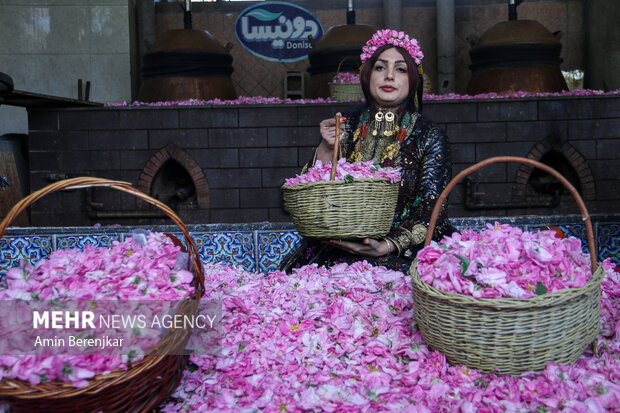 جشنواره گل و گلاب در دریاچه چیتگر برگزار می شود جشنواره گل و گلاب در دریاچه چیتگر برگزار می شود