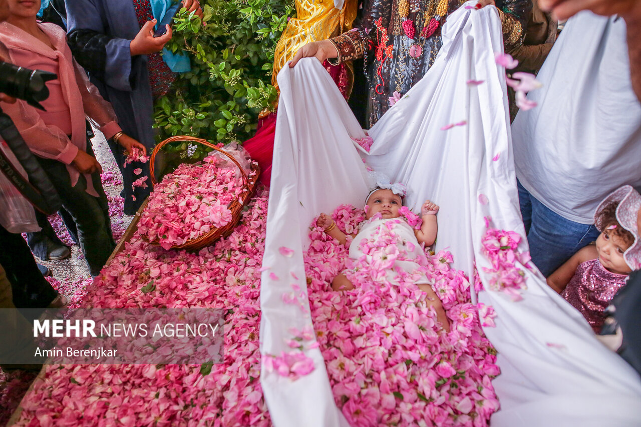 ایرانی صوبہ فارس میں گلابوں کی بہار