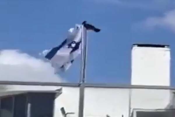 VIDEO: Crow toppling down Israeli regime flag