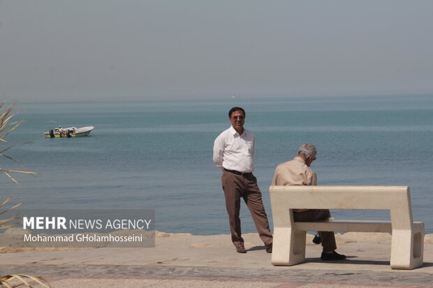 Families rally racing in Bushehr province on Persian Gulf Day