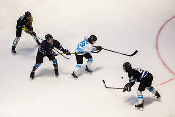 women's ice hockey