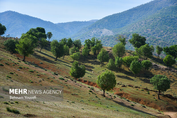 Beautiful nature of Sepidan in Fars province
