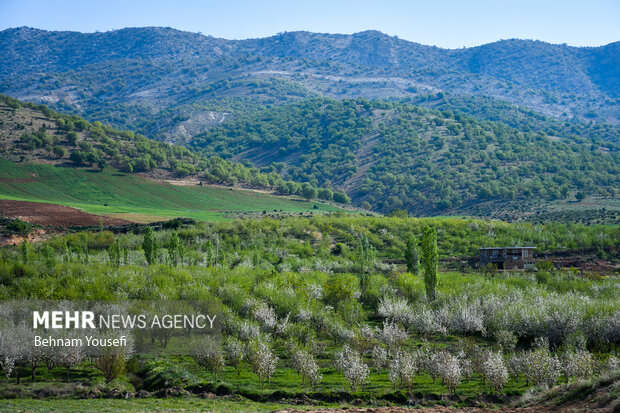 Mehr News Agency Beautiful nature of Sepidan in Fars province