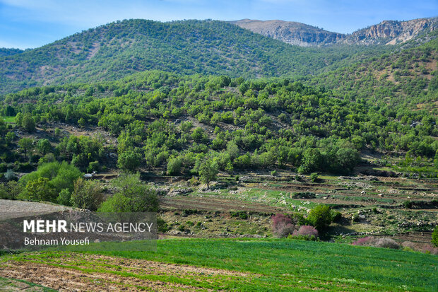 منطقه بهشت گمشده سپیدان فارس