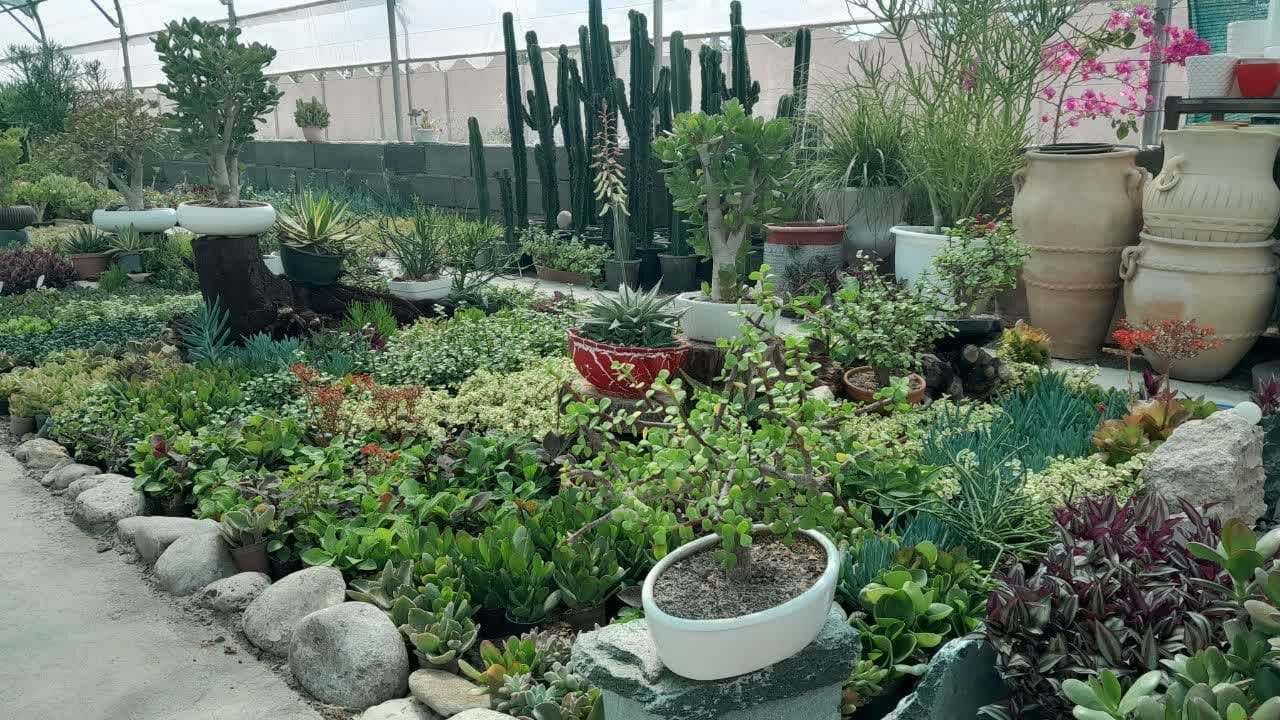 نقش هنرستانها در تأمین نیاز شغلی کشور