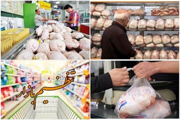 نابسامانی بازار مرغ در کرمانشاه/میزان عرضه و مراکز مرغ منجمد کافی نیست