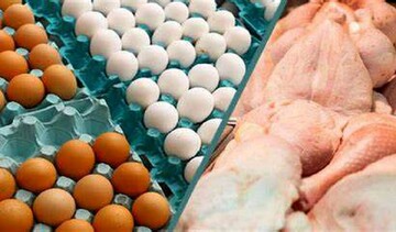 تثبیت قیمت جدید مرغ و تخم‌مرغ با یک شرط، یک درخواست و یک تکذیبیه