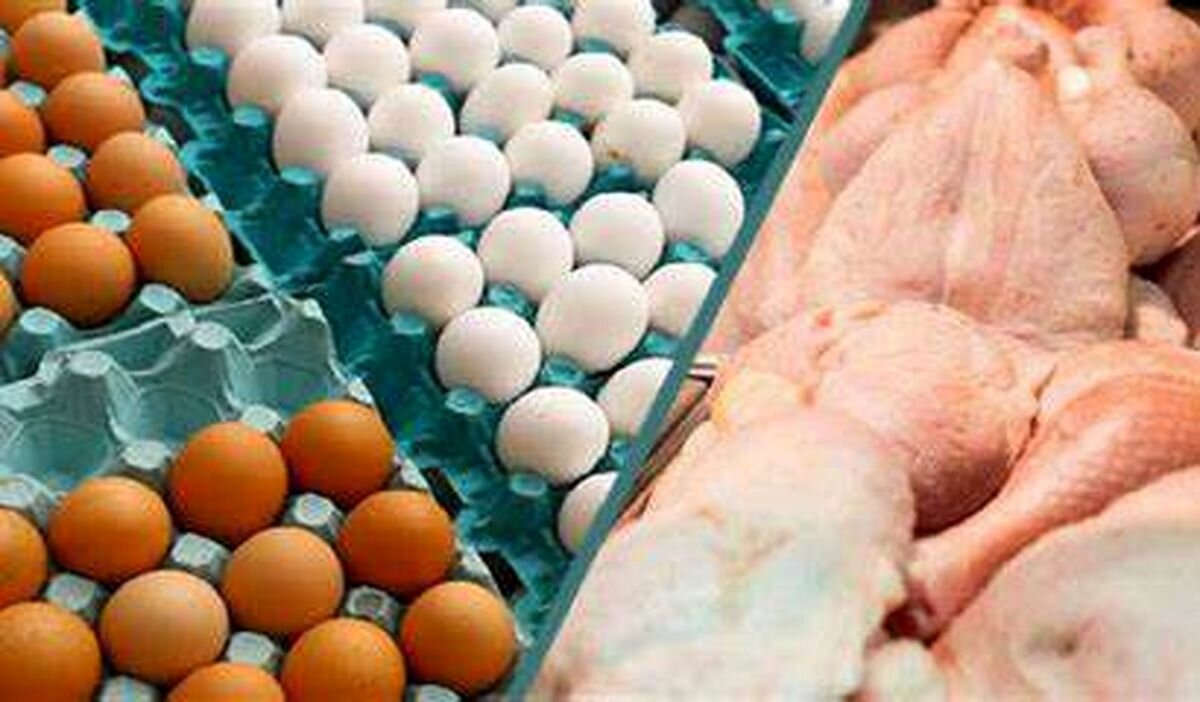 گرما نرخ تخم مرغ را کاهش داد/ مرغ هر کیلو ۸۹ هزار ۸۰۰ تومان