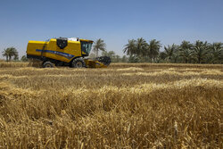 ایران در منطقه رتبه اول کشاورزی را دارد
