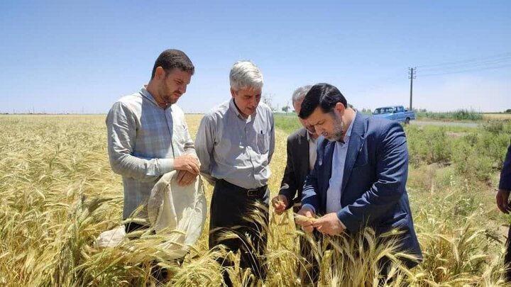 مراکز خدمات کشاورزی سیاست های کلان وزارت کشاورزی را دنبال کنند