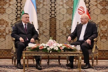 سفر رئیس‌جمهور ازبکستان به ایران در ماه آینده/ همکاری پارلمانی دو کشور در حال گسترش است
