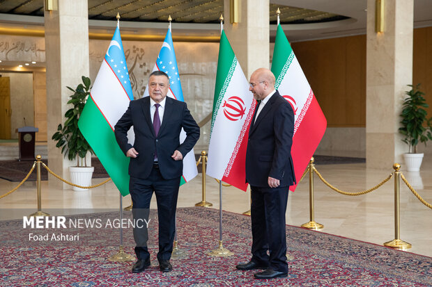 دیدار رئیس مجلس شورای اسلامی با رئیس پارلمان ازبکستان 5