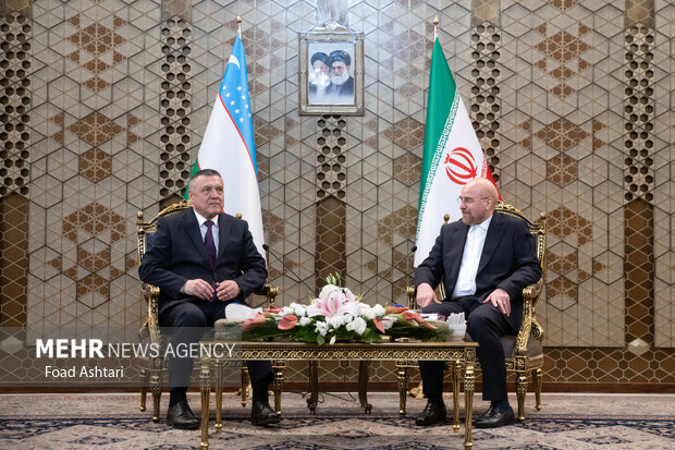 دیدار رئیس مجلس شورای اسلامی با رئیس پارلمان ازبکستان 8