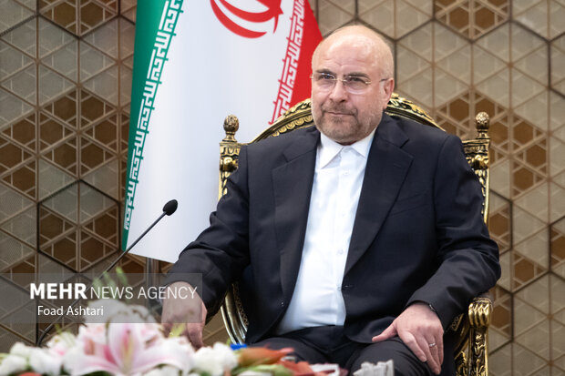 دیدار رئیس مجلس شورای اسلامی با رئیس پارلمان ازبکستان 9