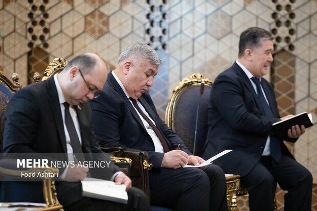 دیدار رئیس مجلس شورای اسلامی با رئیس پارلمان ازبکستان 12