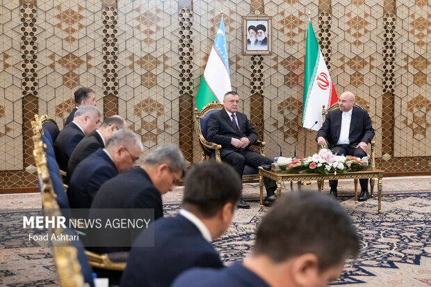 دیدار رئیس مجلس شورای اسلامی با رئیس پارلمان ازبکستان 13