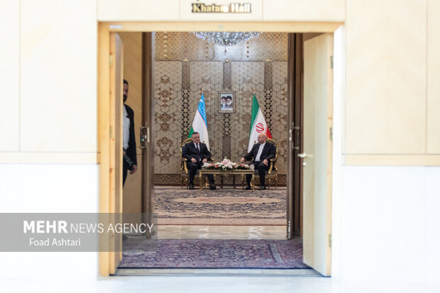 دیدار رئیس مجلس شورای اسلامی با رئیس پارلمان ازبکستان 16