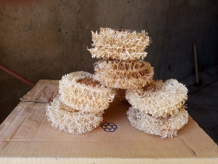 وقتی کارآفرینان تویسرکان پای کار می آیند/ مسئولین حمایت کنند