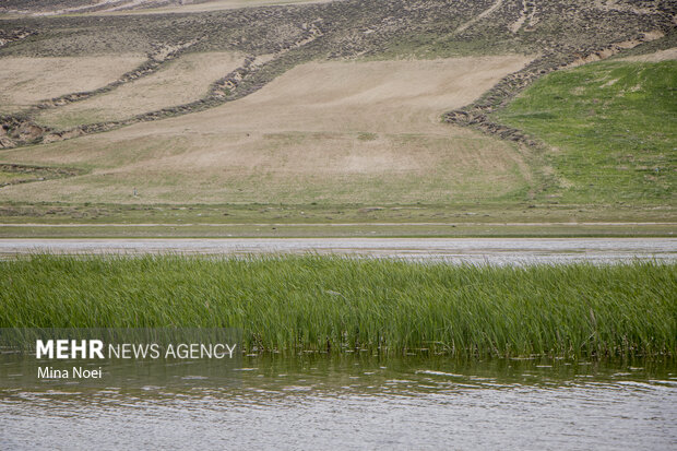 Quri Gol lake in East Azarbaijan Province
