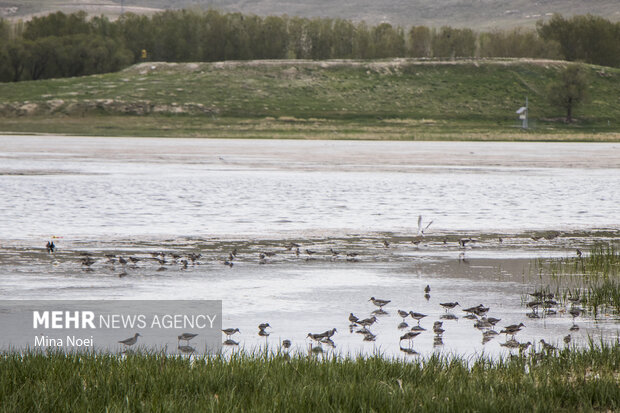 Quri Gol lake in East Azarbaijan Province
