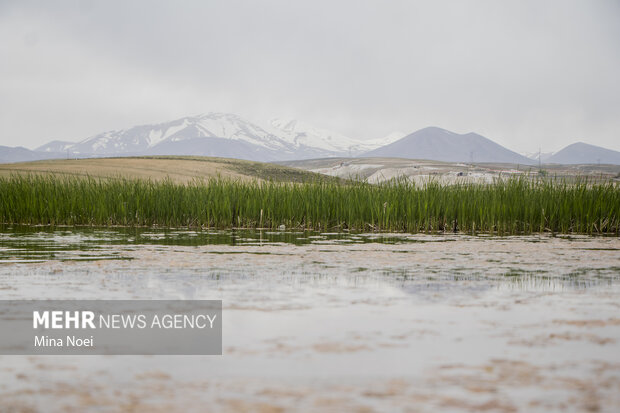 Quri Gol lake in East Azarbaijan Province
