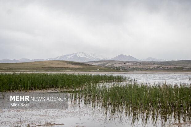 Quri Gol lake in East Azarbaijan Province
